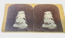 Antico Bouquet Scheletro