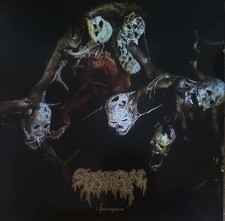 Spectral Voice ‎–