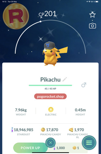 Shiny pikachu team - mystic, hat