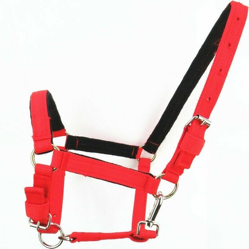 Nylon capezza cavallo cavezza - capezza,