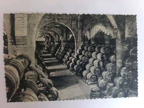 Cartoline casa codorniu san - cartoline,