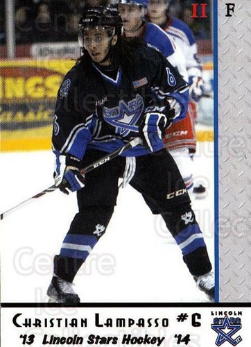 2013 lincoln stars high - 2013-14,