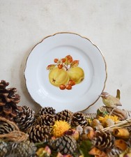 Piatto porcellana frutta e