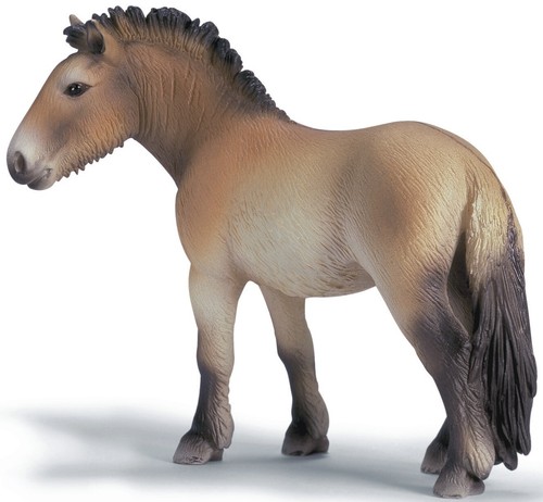 Gw05c7 schleich 13620 cavallo - gw05c7,