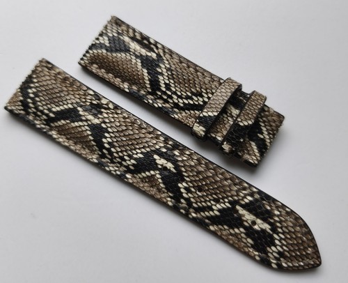 Cinghia van der bauwede snake - van,