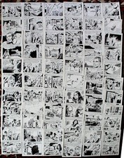 STELIO FENZO - STORIA COMPLETA