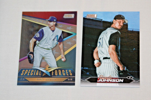 Randy johnson 2024 stadium - johnson,