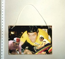TARGA RECENTE ciclismo foto ciclismo bicicletta belgio bici maglia Eddy Merckx