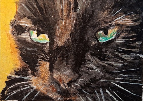 Gatto nero nala dipinto - gatto,