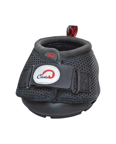Cavallo horse rider - cavallo, e