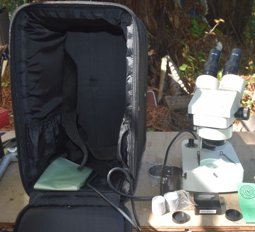 Binocular microscope model - binocular,