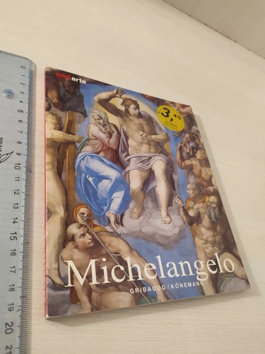 Michelangelo buonarroti vita - buonarroti,