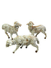 Pecore Fontanini per Pastori Alti Cm 19 - Animali per Presepe - Modello a Scelta