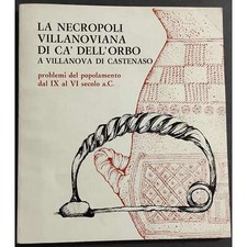 La Necropoli Villanoviana di