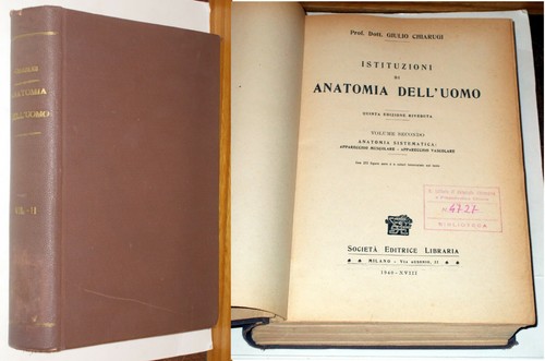 Istituzioni anatomia - di,