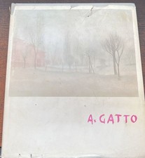 Angelo gatto - angelo,