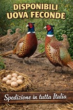 6 Uova Fertili Fagiani
