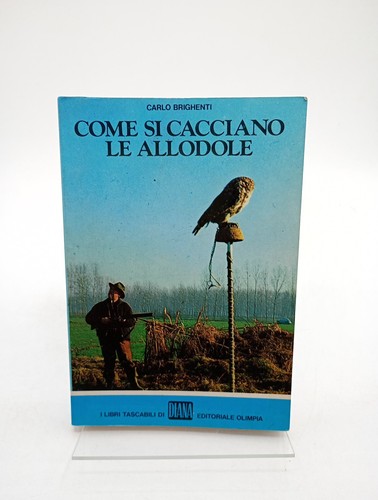 Come cacciano allodole - come,