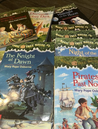Magic tree house - 10,