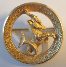 Vintage Jewelry Bigiiotteria Americana Trifari Crown Pin  Capricorn  Capricorno