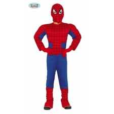 Costume carnevale spiderman - costume,