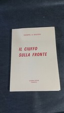 Il ciuffo sulla fronte. Giuseppe di Ragogna. Cosarini editori Pordenone 254/500