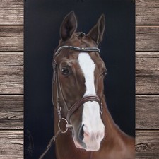 Quadro originale cavallo