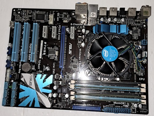 Scheda madre asus p7h55 con - scheda,