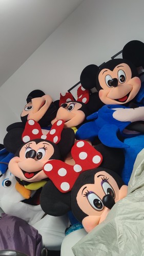 Costume mascotte topolino - costume,