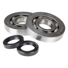 RMS Cuscinetto albero motore