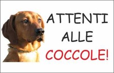 CARTELLO SEGNALETICO - SEGUGIO MAREMMANO ATTENTI ALLE COCCOLE - segnale