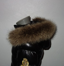 Pelliccia di procione