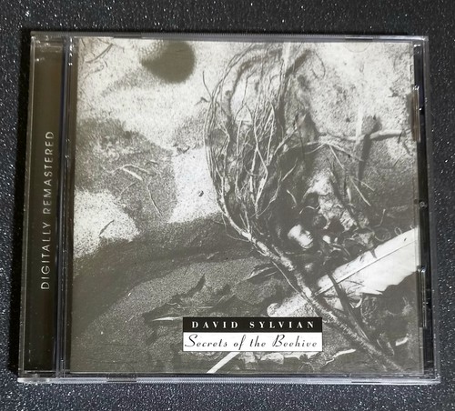David sylvian secrets - david, sylvian ‎– secrets