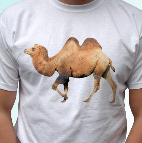 Shirt bianca cammello - t,