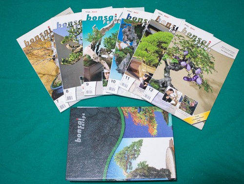 Bonsai focus rivista di arte - -,