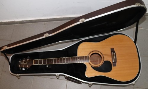 Takamine con custodia morbida