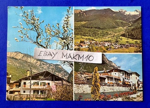 Cartolina foto panchia - foto,