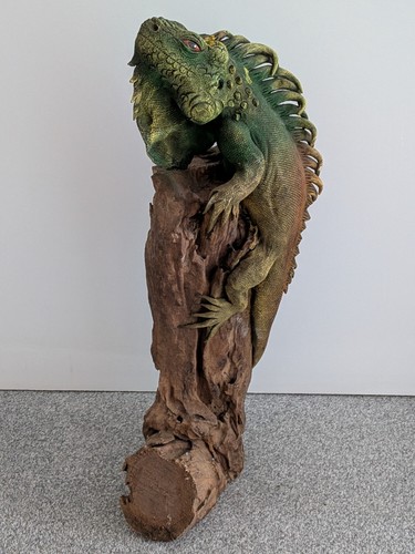Realistic iguana lizard hand - iguana,