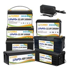 LiFePO4 12V/24V/48V/36V 100Ah