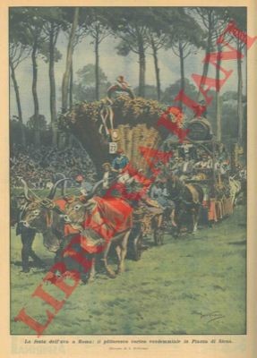 Beltrame festa dell uva - beltrame, a.