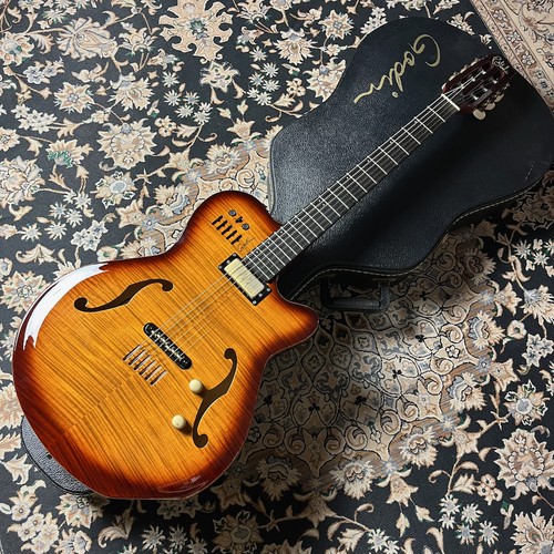 Godin multiac jazz - multiac, sa