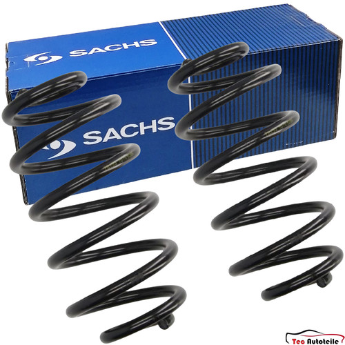 Molle sachs posteriori - posteriori, per