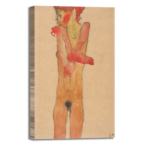 Schiele ragazza nuda design