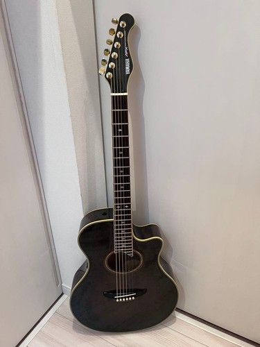 Chitarra acustica elettrica