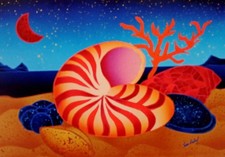 Kino mistral conchiglie sul - "conchiglie,