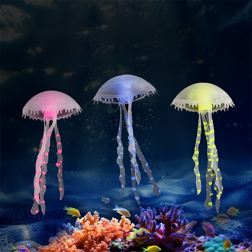 Pezzi meduse fluorescenti - pezzi,