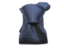 Cravatta blu a pois bianchi