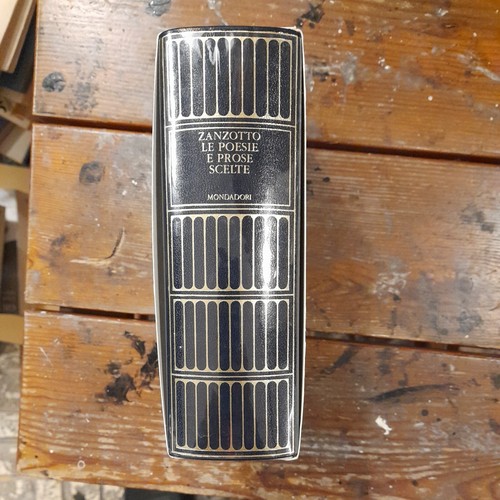 Andrea zanzotto poesie - zanzotto, le