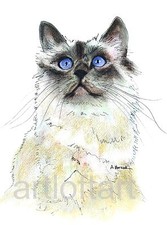 BIRMAN #2 CAT  Art  ACEO Card