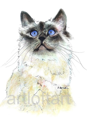 Birman cat art - #2, card